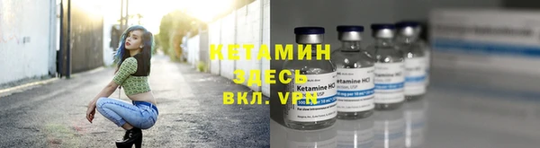 стафф Надым