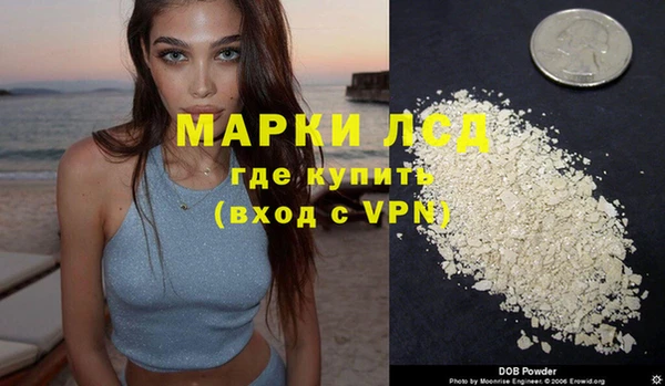 стафф Надым