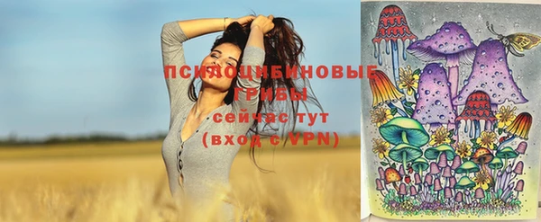 молекула духа Наволоки