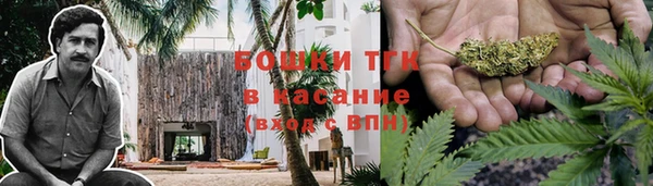 стафф Надым