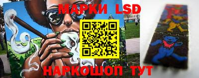 индика Дубна