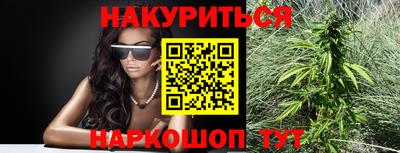 прущие крисы Бийск