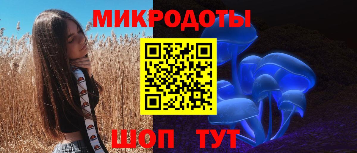 Псилоцибиновые грибы мухоморы Десногорск