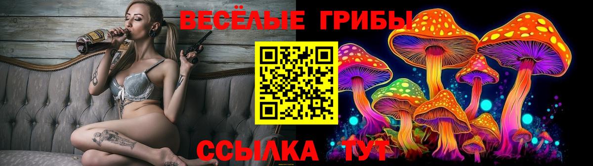 Псилоцибиновые грибы GOLDEN TEACHER  закладки  Десногорск 